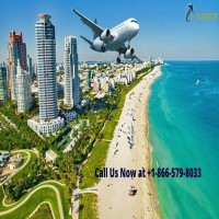 Huge Sales on Florida Flights 18665798033